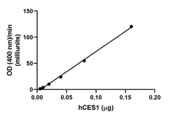 Biolegend&nbsp;Recombinant Human CES1 carrier