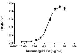 Biolegend&nbsp;Recombinant Human Fcgamma RIIB