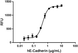 Biolegend&nbsp;Recombinant Human E-Cadherin-F