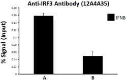 Biolegend&nbsp;Purified anti-IRF3