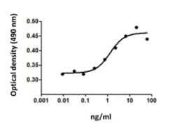 Biolegend Recombinant Mouse Erythropoiet