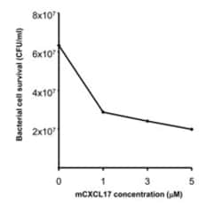 Biolegend&nbsp;Recombinant Mouse CXCL17 VCC-1