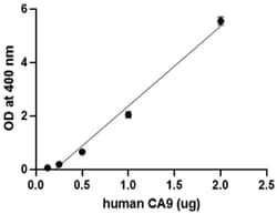 Biolegend&nbsp;Recombinant Human Carbonic Anh