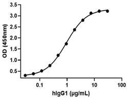 Biolegend&nbsp;Recombinant Human Fc gamma RII
