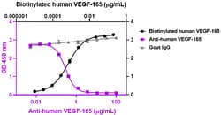 Biolegend LEAFTM Purified anti-human VEG
