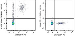 Biolegend Purified anti-human HLA-DR Rec