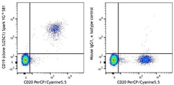 Biolegend Spark YGTM 581 anti-human CD19