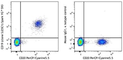Biolegend Spark YGTM 593 anti-human CD19, Quantity: Each of 1