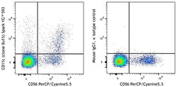Biolegend Spark YGTM 593 anti-human CD11