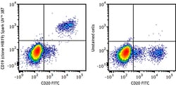 Biolegend&nbsp;Spark UVTM 387 anti-human CD19