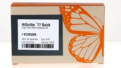New England Biolabs, Inc.&nbsp;HiScribe T7 Q RNA Synth  250RX