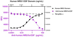 Biolegend&nbsp;Ultra-LEAF&trade; Purified anti-human NRG1b-EGF [W17087B]; Isotype: Rat IgG2b, κ; Reactivity: Human; Apps: Neut; Size: 100 μg