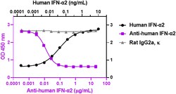 Biolegend&nbsp;Ultra-LEAF&trade; Purified anti-human IFN-α2 [W20057A]; Isotype: Rat IgG2a, κ; Reactivity: Human; Apps: Neut; Size: 100 μg