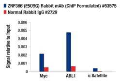 Cell Signaling Technology&nbsp;ZNF366 E5O9G Rabbit mAb ChI