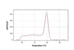 Cell Signaling Technology&nbsp;SimpleChIPR Mouse Ccdc57 Int