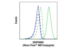 Cell Signaling Technology&nbsp;SERPINB9 E9X9Z Rabbit mAb A