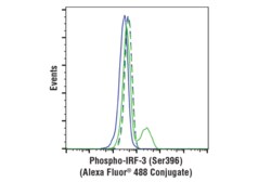 Cell Signaling Technology&nbsp;Phospho-IRF-3 Ser396 D6O1M