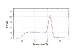 Cell Signaling Technology SimpleChIPR Human HMOX1 Prom