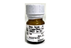 Cell Signaling Technology Deoxyribonuclease I  Recombina