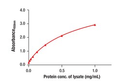 Cell Signaling Technology&nbsp;Total Ezh2 Matched Antibody Pa