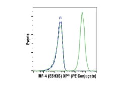 Cell Signaling Technology&nbsp;IRF-4 E8H3S XP R  Rabbit m