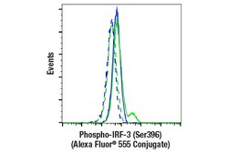 Cell Signaling Technology&nbsp;Phospho-IRF-3 Ser396 D6O1M