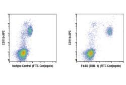 Cell Signaling Technology F4/80 BM8.1 Rat mAb FITC Co
