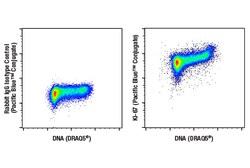 Cell Signaling Technology Ki-67 D3B5 Rabbit mAb Pacif