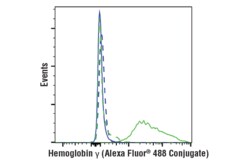 Cell Signaling Technology&nbsp;Hemoglobin gamma D4K7X Rabbi