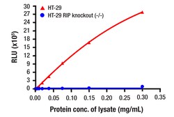Cell Signaling Technology&nbsp;Total RIP Matched Antibody Pai