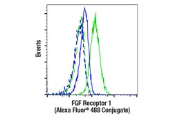 Cell Signaling Technology FGF Receptor 1 D8E4 XPR Ra