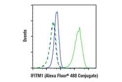 Cell Signaling Technology IFITM1 D5P5J Rabbit mAb Ale