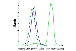 Cell Signaling Technology Phospho-Stat6 Tyr641 D8S9Y