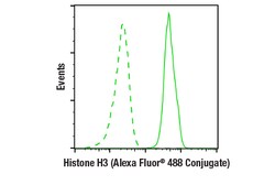Cell Signaling Technology&nbsp;Histone H3 D1H2 XPRRabbit