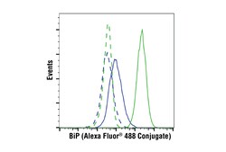 Cell Signaling Technology BiP C50B12 Rabbit mAb Alexa