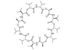Cell Signaling Technology Valinomycin 10 mg