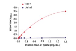 Cell Signaling Technology&nbsp;Total TREM2 Matched Antibody P