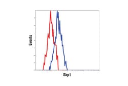 Cell Signaling Technology&nbsp;Protein Folding and Stability