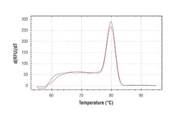 Cell Signaling Technology&nbsp;SimpleChIPR Human C/EBP-delt