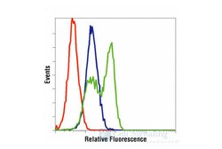 Cell Signaling Technology Mouse Reactive Cell Death and