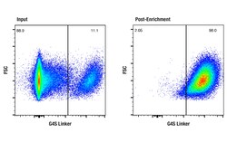 Cell Signaling Technology&nbsp;CAR G4S Linker Cell Enrichme