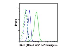 Cell Signaling Technology&nbsp;BATF D7C5 Rabbit mAb Alexa