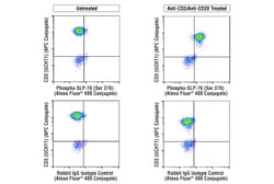 Cell Signaling Technology&nbsp;Phospho-SLP-76 Ser376 E3G9U