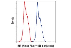 Cell Signaling Technology RIP D94C12 XPR Rabbit mAb