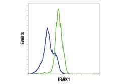 Cell Signaling Technology&nbsp;IRAK Isoform Antibody Sampler