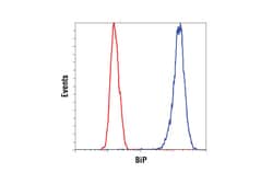 Cell Signaling Technology&nbsp;ER Protein Folding Antibody Sa