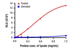 Cell Signaling Technology&nbsp;Phospho-RIP Ser166 Matched A