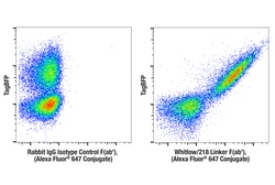 Cell Signaling Technology&nbsp;Whitlow/218 Linker E3U7Q Fa