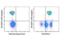 Cell Signaling Technology&nbsp;CD162/PSGL-1 F8D5X Rabbit mA