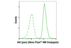 Cell Signaling Technology&nbsp;Akt pan 11E7 Rabbit mAb A
